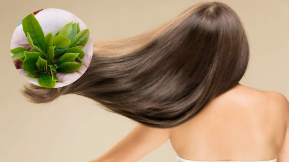 Dưỡng tóc tự nhiên từ nước xanh