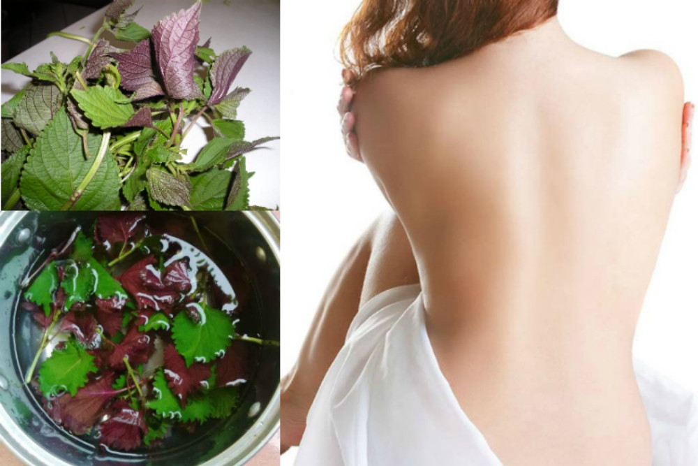 Dưỡng Trắng Da Ở Tuổi Dậy Thì Với Tía Tô 
