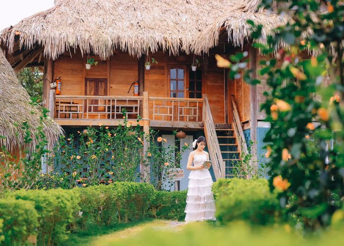 Fairyhouse với thiết kế độc đáo giữa thiên nhiên