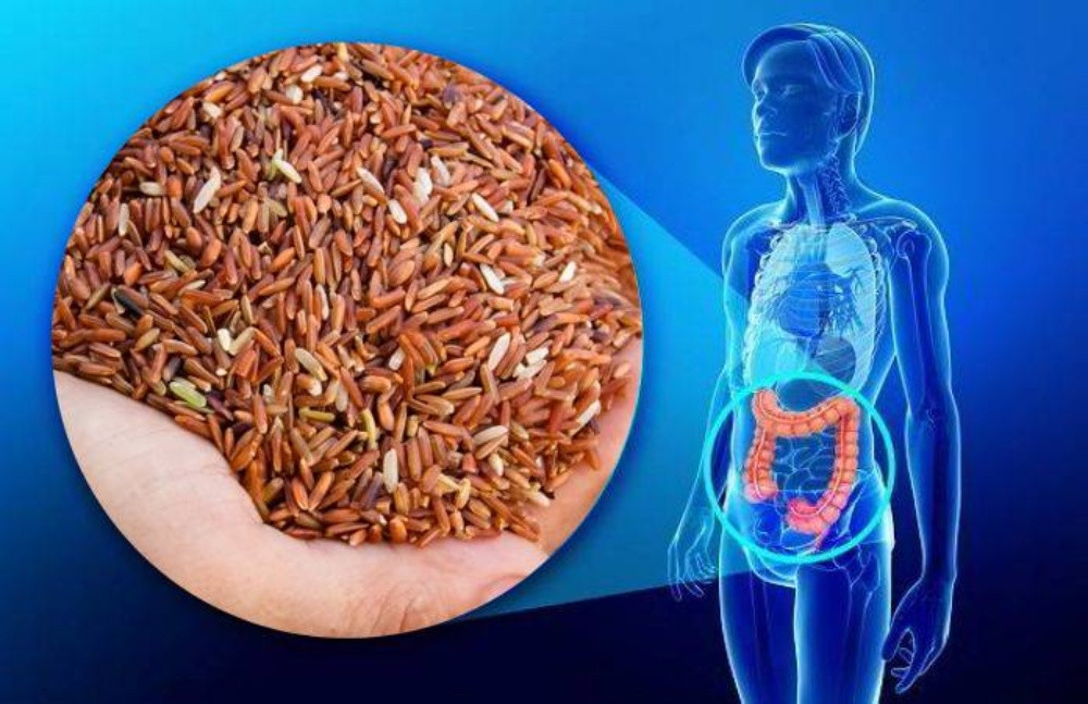 Gạo Lứt Giúp Ngăn Ngừa Ung Thư Đại Tràng