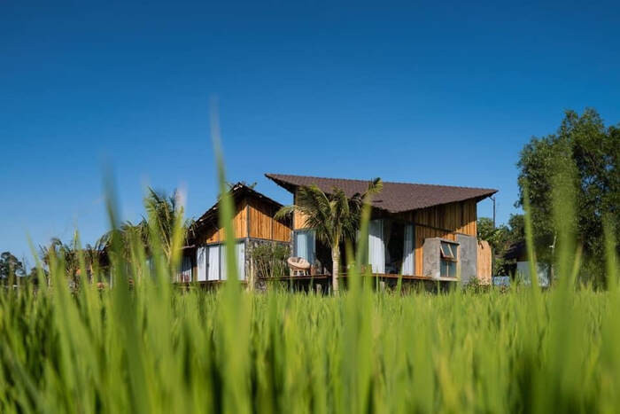 Hòa mình giữa không gian đồng quê thơ mộng, thanh bình tại Green Field Resort Hồ Tràm