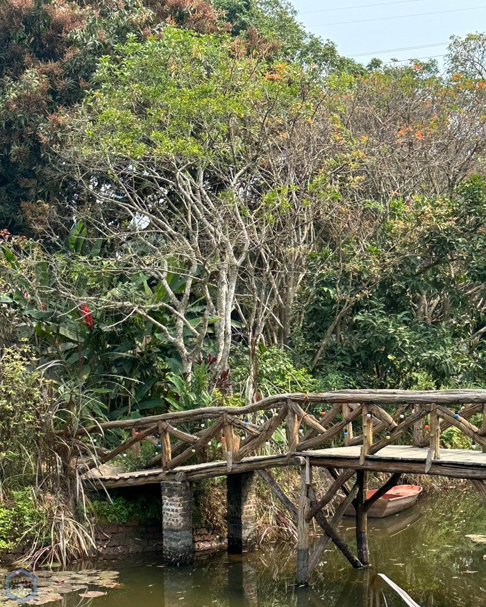 Hạng phòng nghỉ dưỡng tại Nala Boutique Retreat