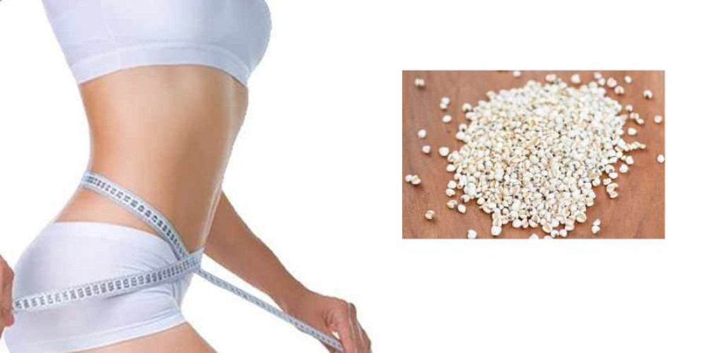 Hạt ý dĩ hỗ trợ giảm cân và kiểm soát cân nặng