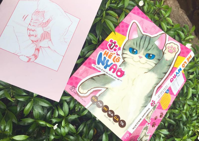 Hế lô Nyao