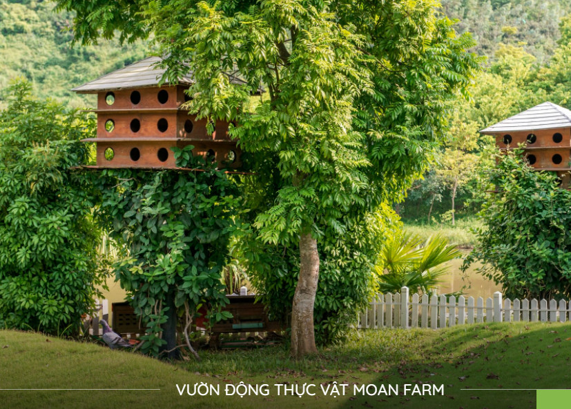 Hình ảnh vườn động thực vật Moan Foam