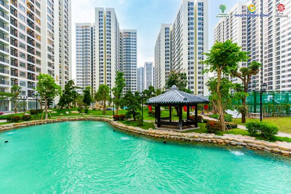 Hồ cá Koi đặc trưng tại Vườn Nhật