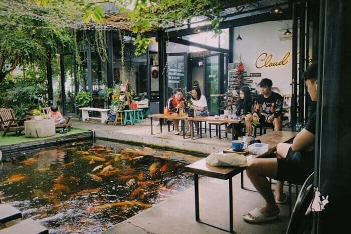Hoàn tất thủ tục pháp lý quán cà phê rang xay