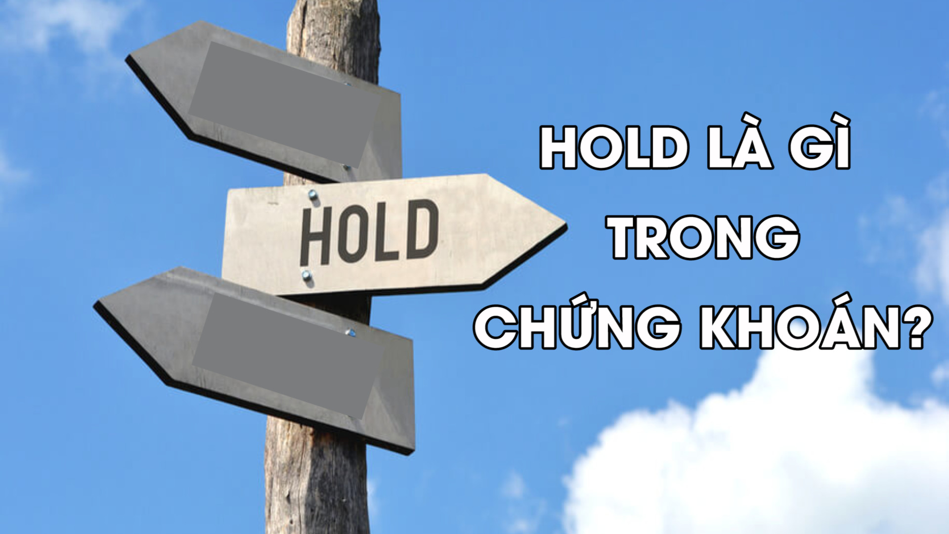 Hiểu về Chiến Lược “Hold” trong Đầu Tư Chứng Khoán