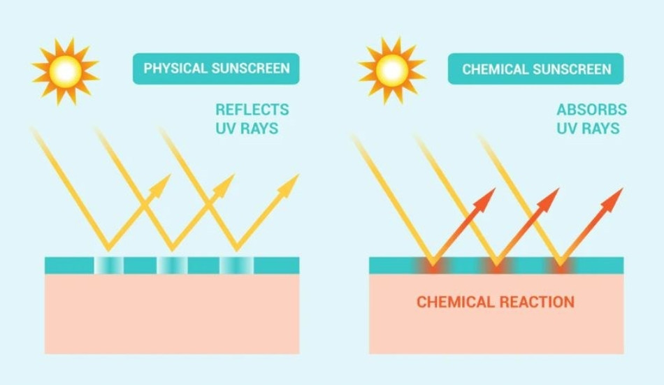 Nên Dưỡng Ẩm Trước Hay Chống Nắng Trước? Câu Hỏi Thường Gặp Về Skincare
