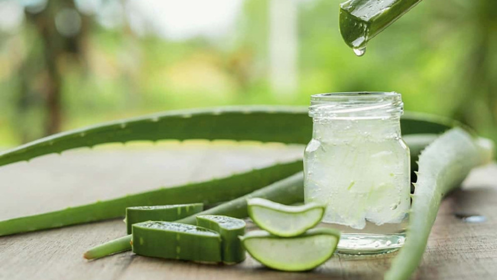 Kem dưỡng da từ gạo và nha đam