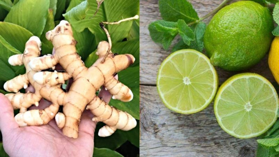 Kết Hợp Nghệ Trắng Và Chanh Tươi Để Dưỡng Trắng Da