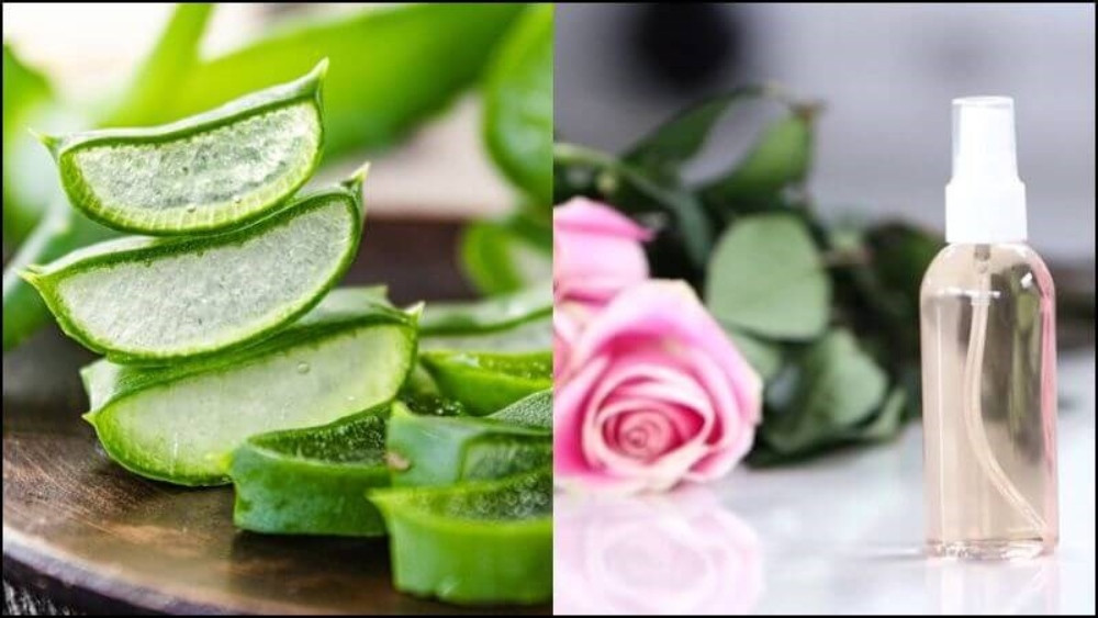 Kết hợp nha đam với nước hoa hồng