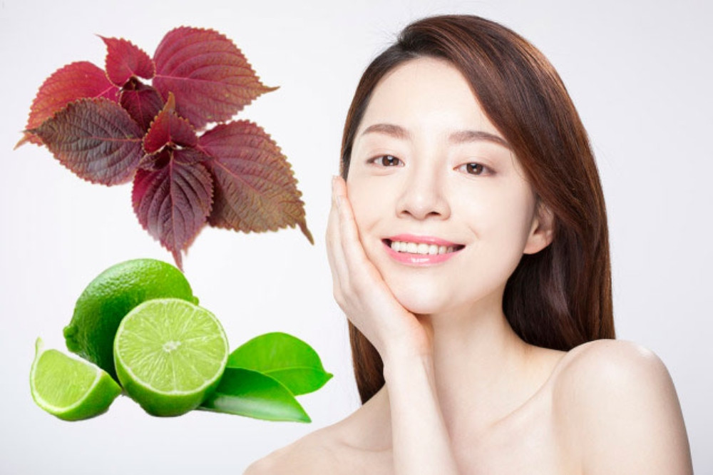 Kết hợp tía tô với chanh làm mặt nạ chữa nám, tàn nhang