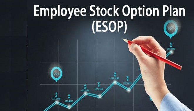 Cáº• phiáº¿u ESOP: Hiá»ƒu rõ giáº£i pháp tài chính cho nhân viên