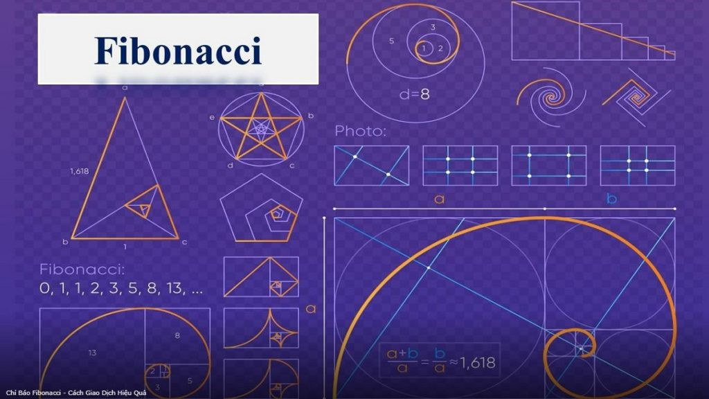Fibonacci trong Giao dịch Tài chính: Khám Phá Bí Mật Hỗ Trợ Đầu Tư