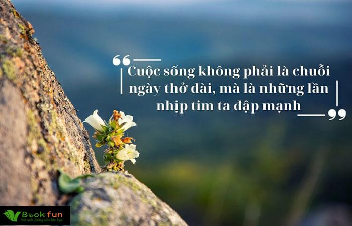 Khám phá những câu nói truyền cảm hứng trong đời sống hàng ngày