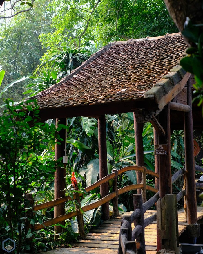 Khung cảnh thanh bình tại Nala Boutique Retreat