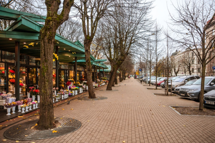 Khung cảnh thiên nhiên tại Latvia