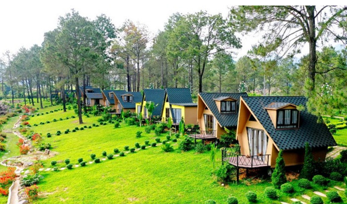 Khung cảnh tươi đẹp tại Phoenix Resort Mộc Châu