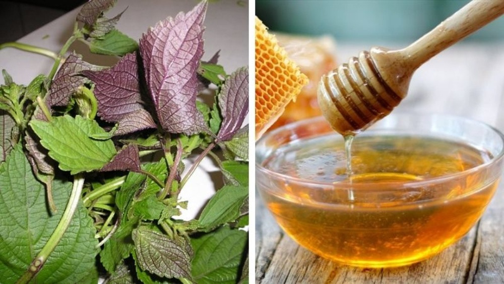Lá tía tô và mật ong nguyên chất giúp dưỡng ẩm và mềm mịn da
