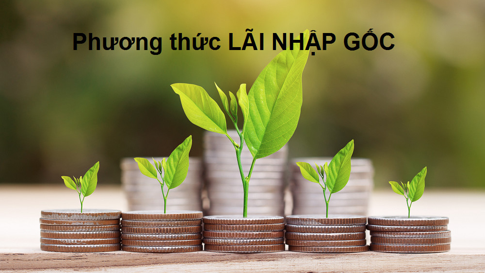 Lãi Nhập Gốc: Hiểu Đúng Để Đầu Tư Sinh Lời Hơn