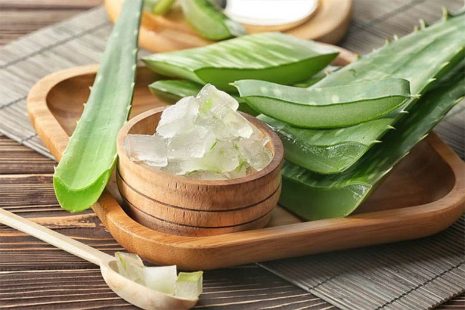 Làm mềm tóc với mặt nạ lô hội