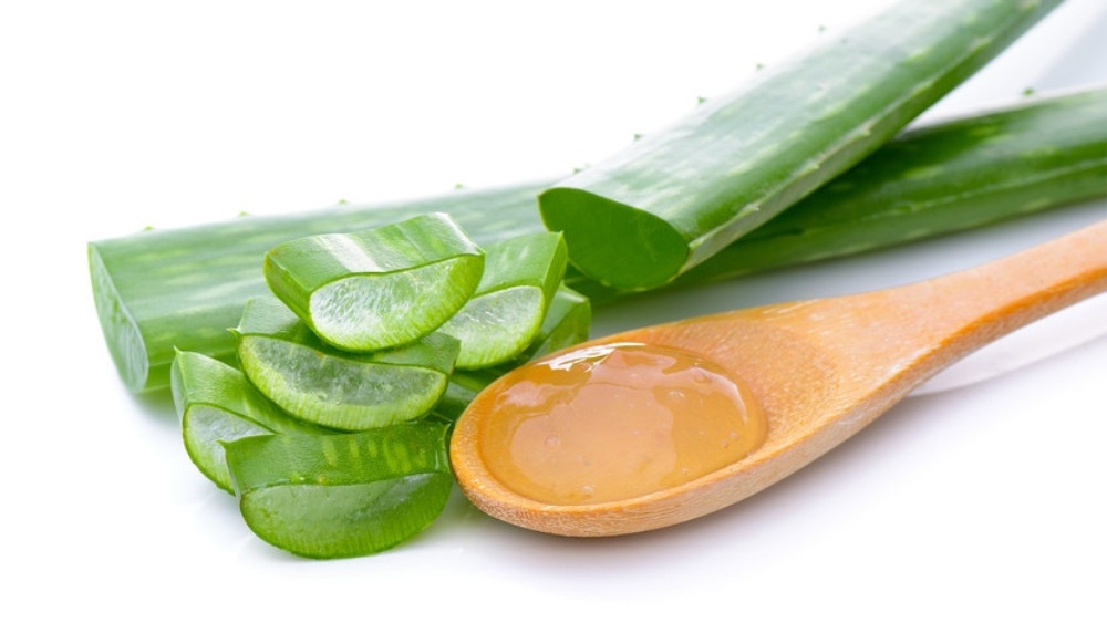 Làm Trắng Da Với Nước Gel Nha Đam