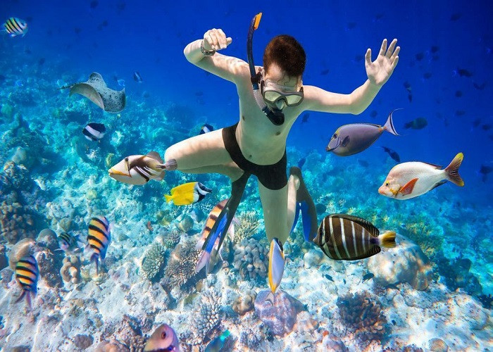 Lặn biển tự do tuyệt đẹp ở Phú Quốc