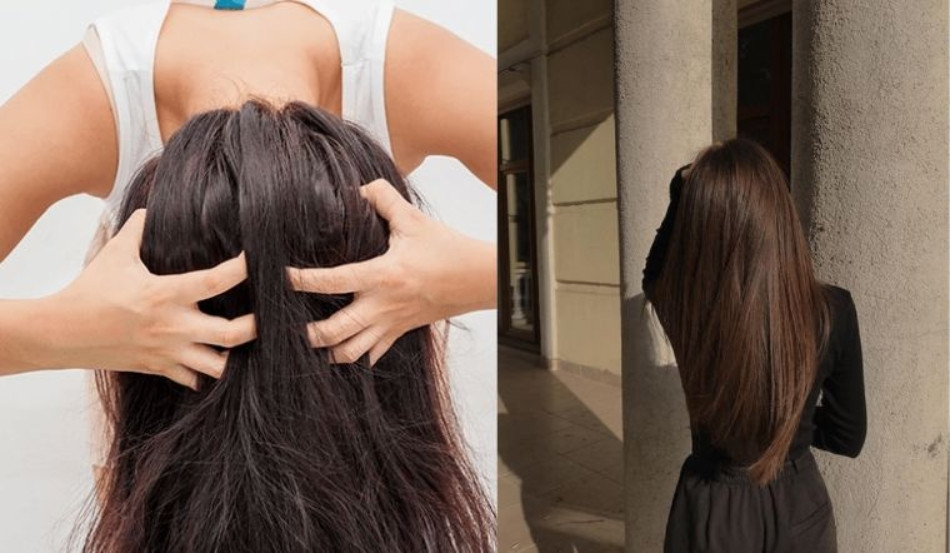 Lựa chọn dầu gội phù hợp với tình trạng tóc và da đầu
