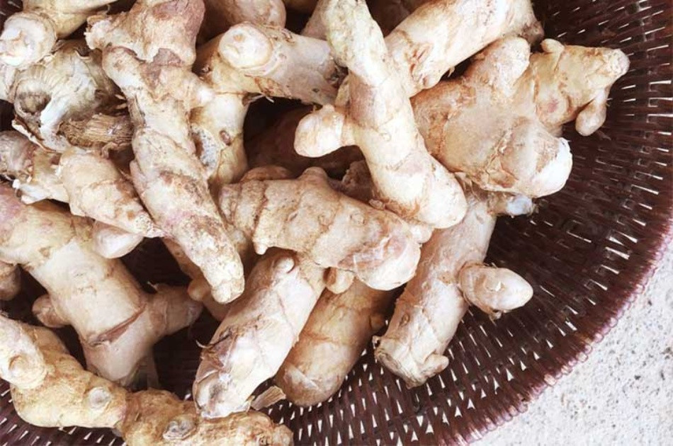Lựa Chọn Nghệ Trắng Có Nguồn Gốc Rõ Ràng Và Sử Dụng Đúng Liều Lượng