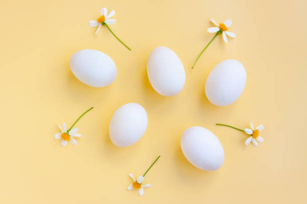 Lượng trứng hợp lý cho trẻ