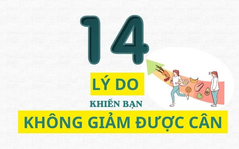 Lý do khiến giảm cân thất bại?