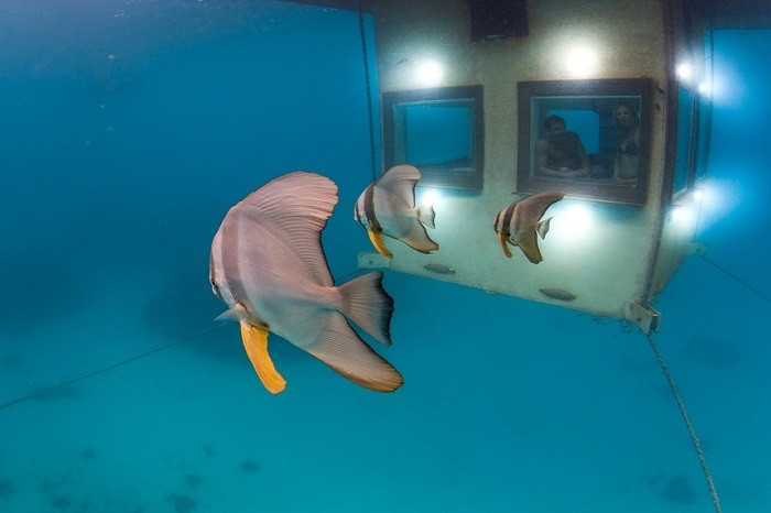 Manta Resort, Tanzania