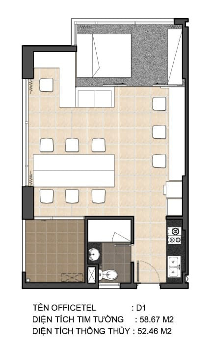 Mặt bằng chi tiết căn hộ Officetel D1 SkyCenter