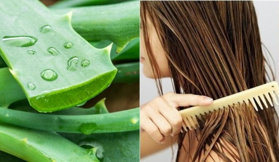 Mặt nạ dưỡng tóc thiên nhiên từ nha đam