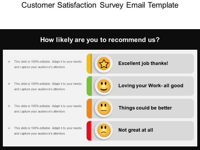 Mẫu email khảo sát