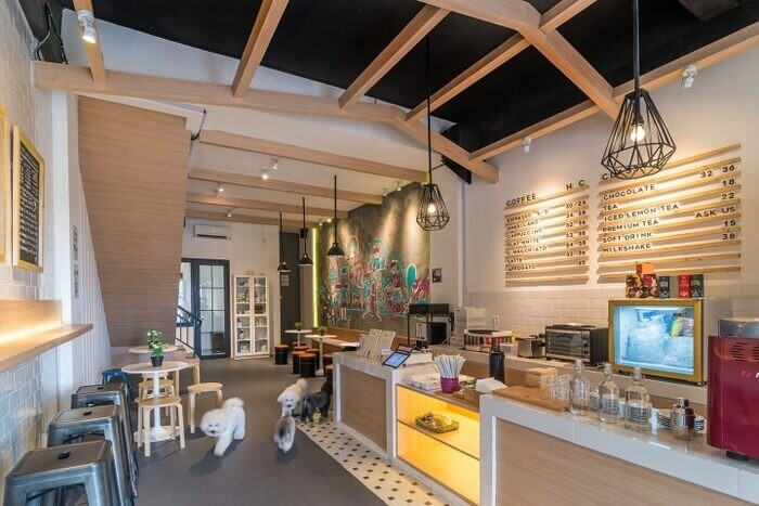 Chia sẻ kinh nghiệm kinh doanh mô hình cafe thú cưng kiếm tiền tỷ