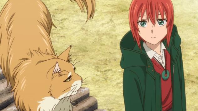 Molly - Nữ Hoàng Mèo (The Ancient Magus’ Bride)