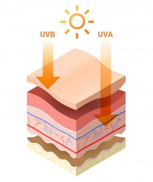 Mức độ ảnh hưởng của UVB &amp; UVA