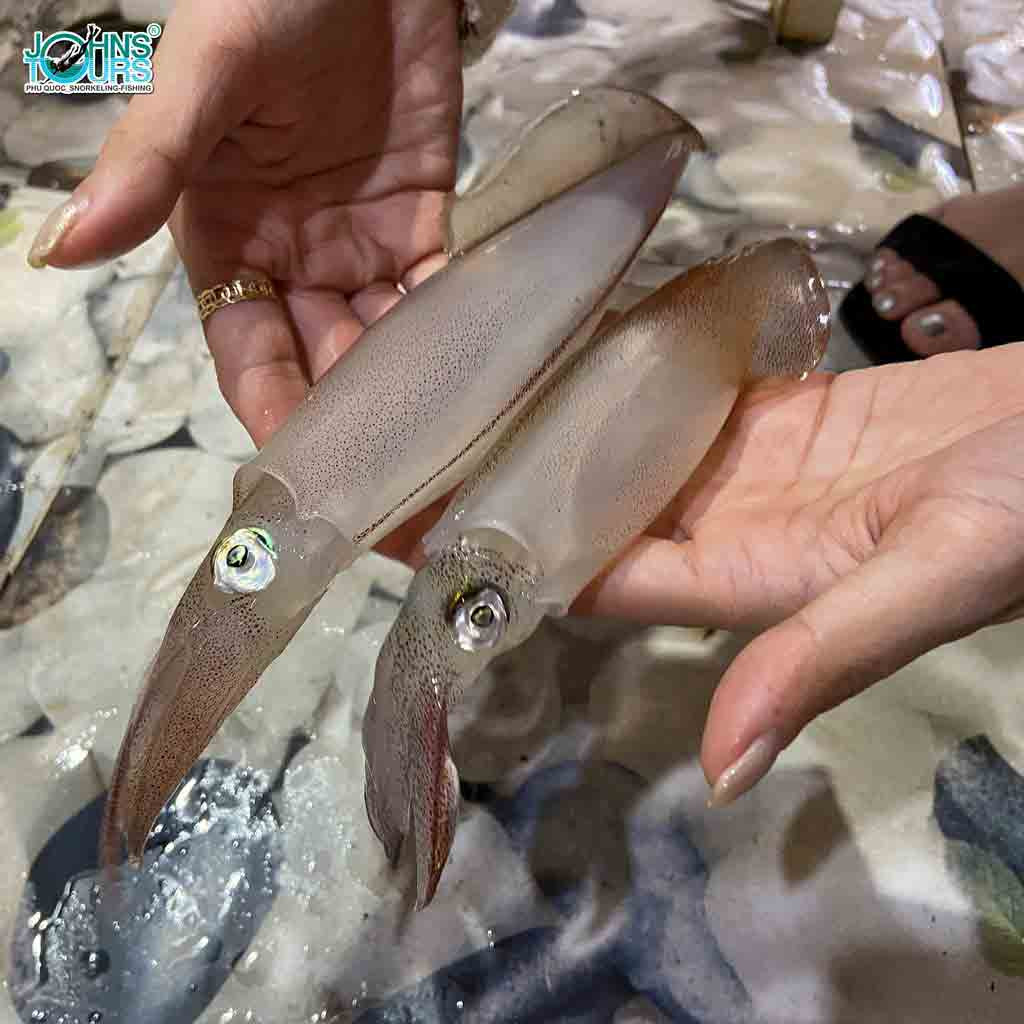 Mực được chế biến ngay trên tàu