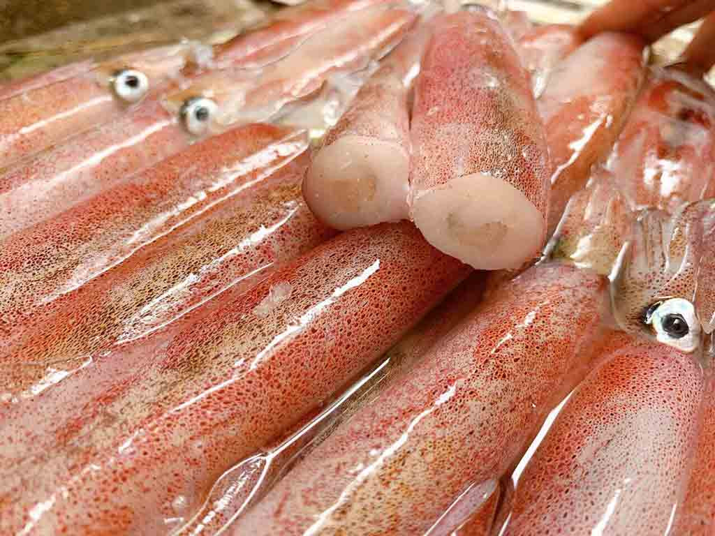 Mực trứng Phú Quốc