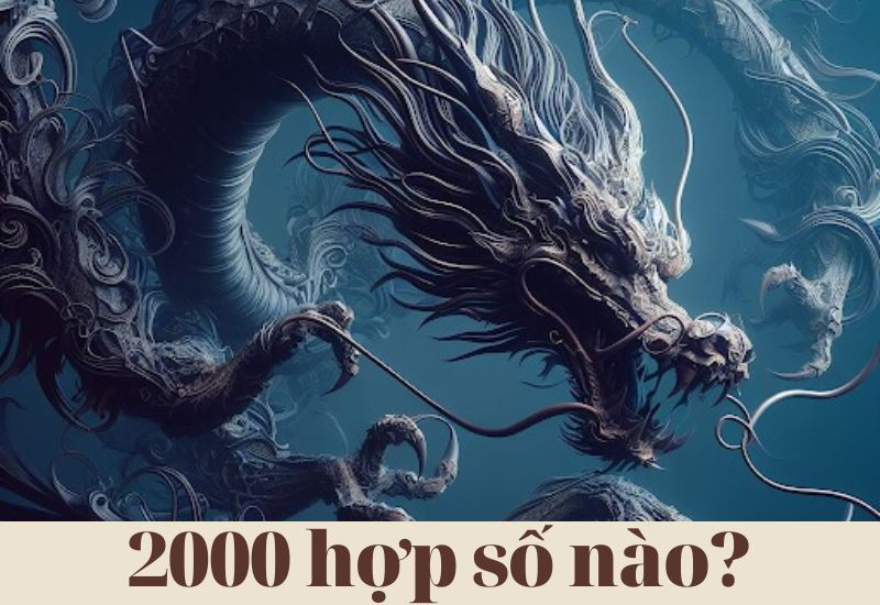 Năm 2000 hợp số nào mang lại may mắn?