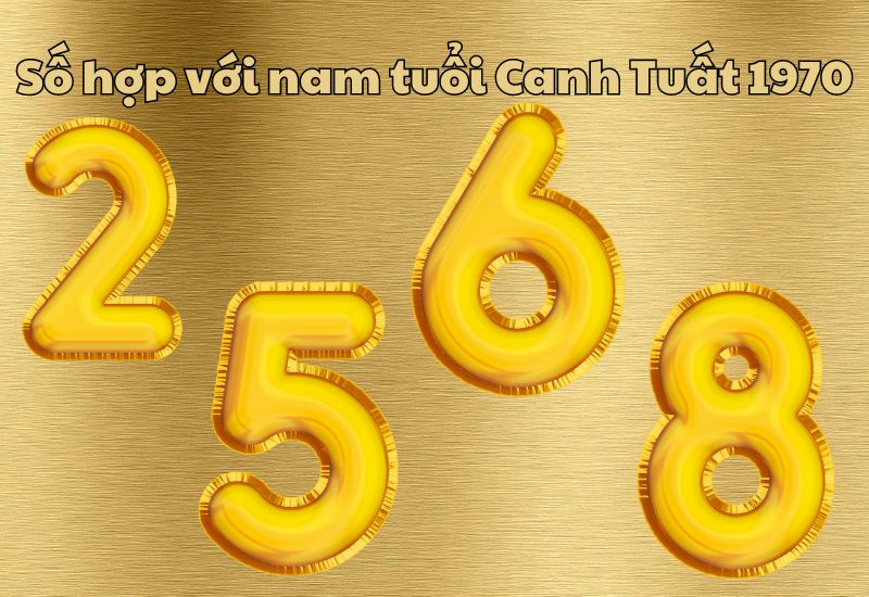 nam Canh Tuất 1970 hợp số nào
