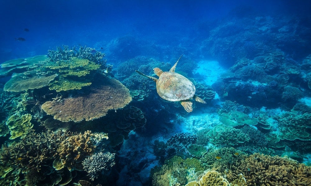 Nắng xuyên qua nước biển