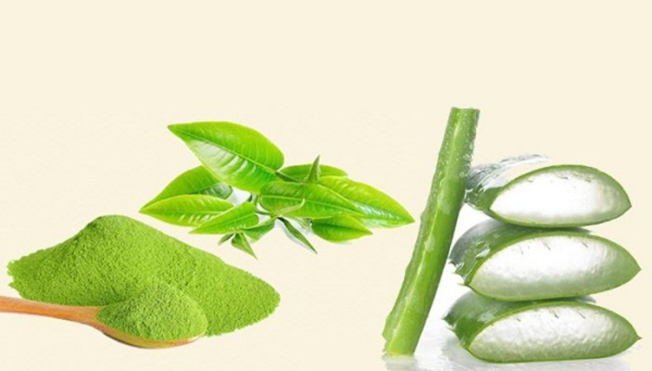 Ngăn ngừa lão hóa với nha đam và trà xanh