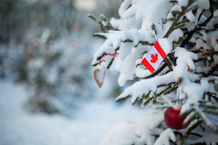 Người Canada rất thích trang trí cây thông Noel