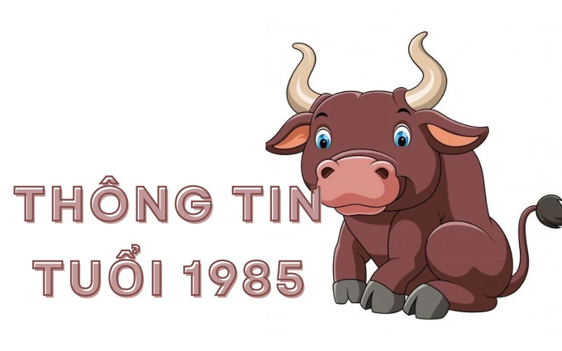 Người sinh năm 1985 năm nay bao nhiêu tuổi?