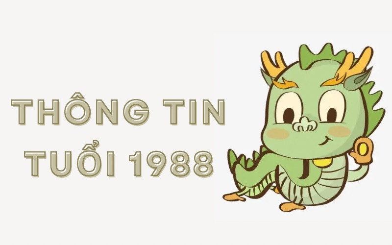 Tìm hiểu về người sinh năm 1988: Hiện nay bao nhiêu tuổi và điều gì cần biết?