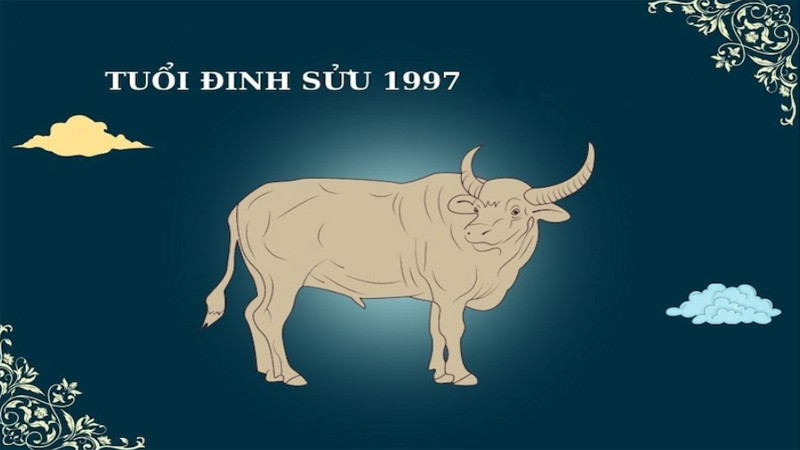 Tính tuổi cho người sinh năm 1997 trong năm 2025