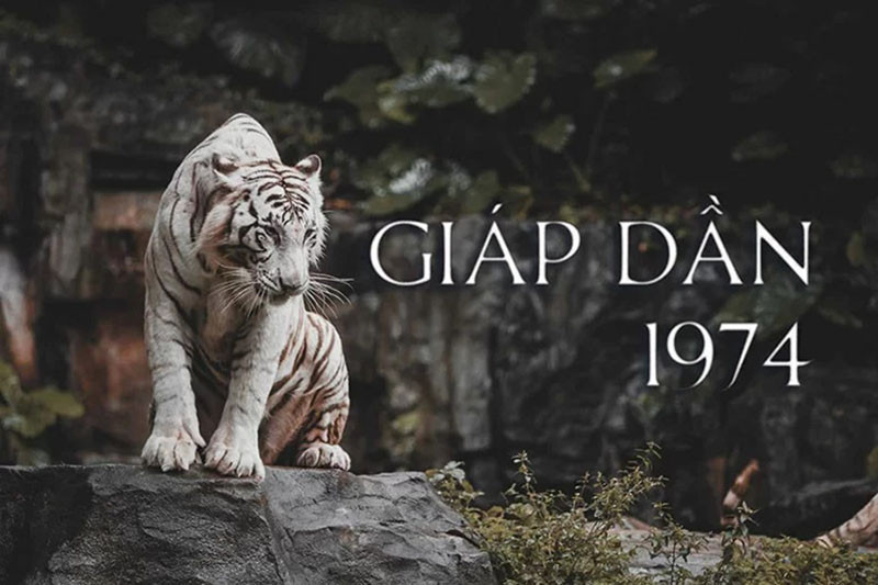 Phong Thủy Năm 2025 Cho Người Tuổi Giáp Dần 1974: Cẩm Nang Mua Nhà An Cư Lạc Nghiệp